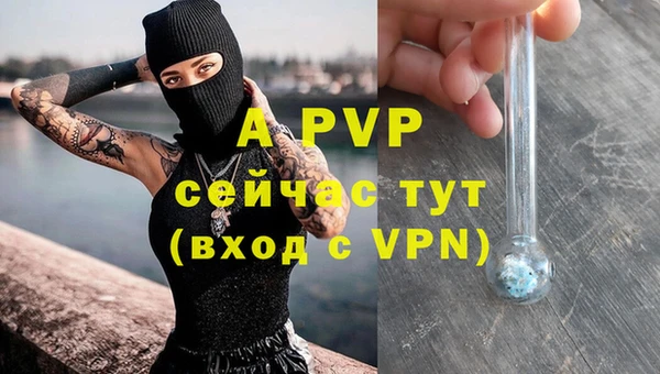 a pvp Алзамай