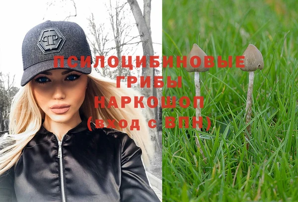 бутират Алексеевка